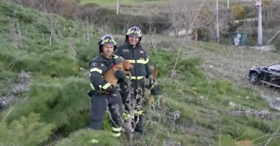 pompieri con cane salvato