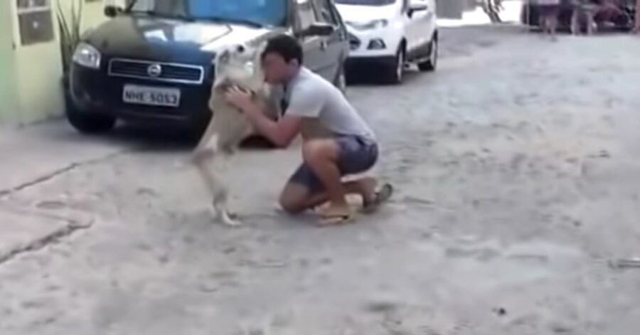 cane riabbraccia il suo papà umano