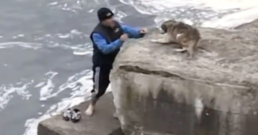 uomo cerca di salvare un cane in pericolo