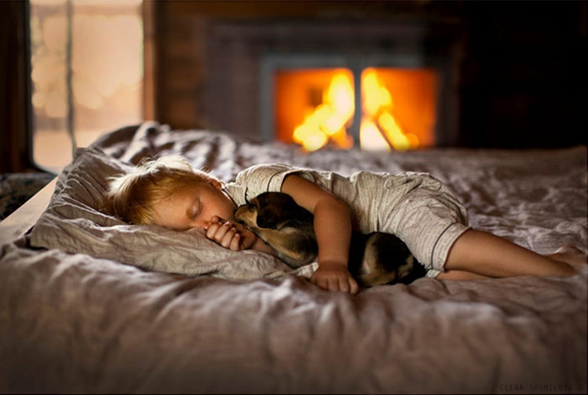 cane dorme con bambino vicino al fuoco