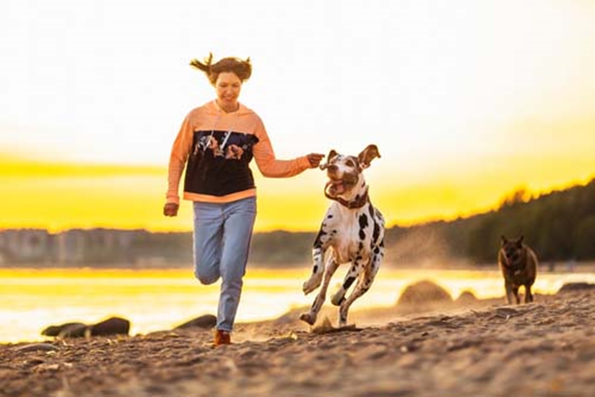 cane corre con padrona nella sabbia