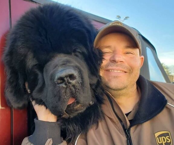 Consegne canine: 10 cagnolini che hanno accolto i corrieri Ups nel modo più felice