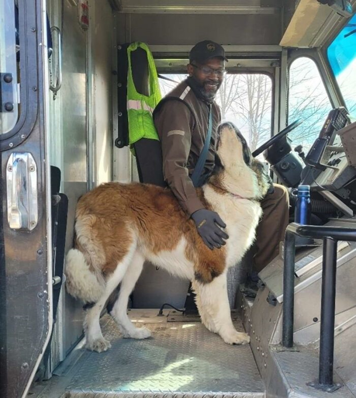 cagnolone saluta corriere