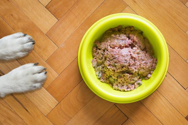 zampe e cibo per cani