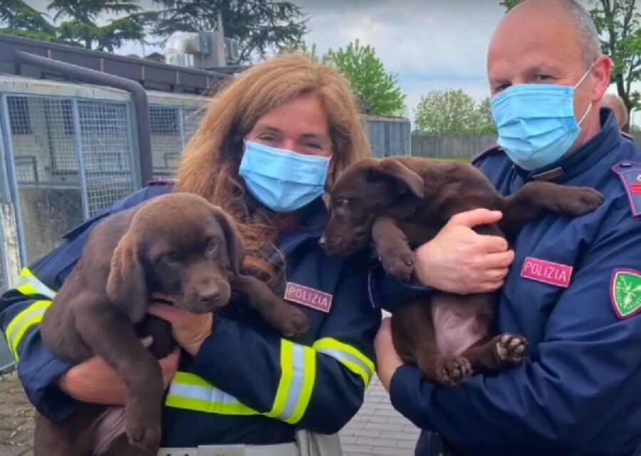 poliziotti tengono cani salvati