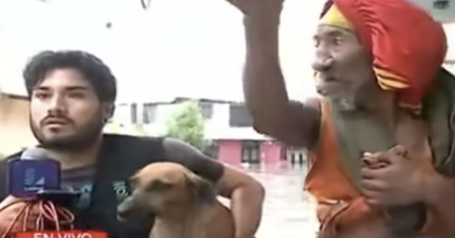 cagnolina salvata durante inondazione in Perù