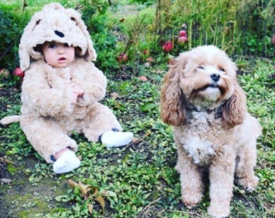 bambino cerca di assomigliare cane