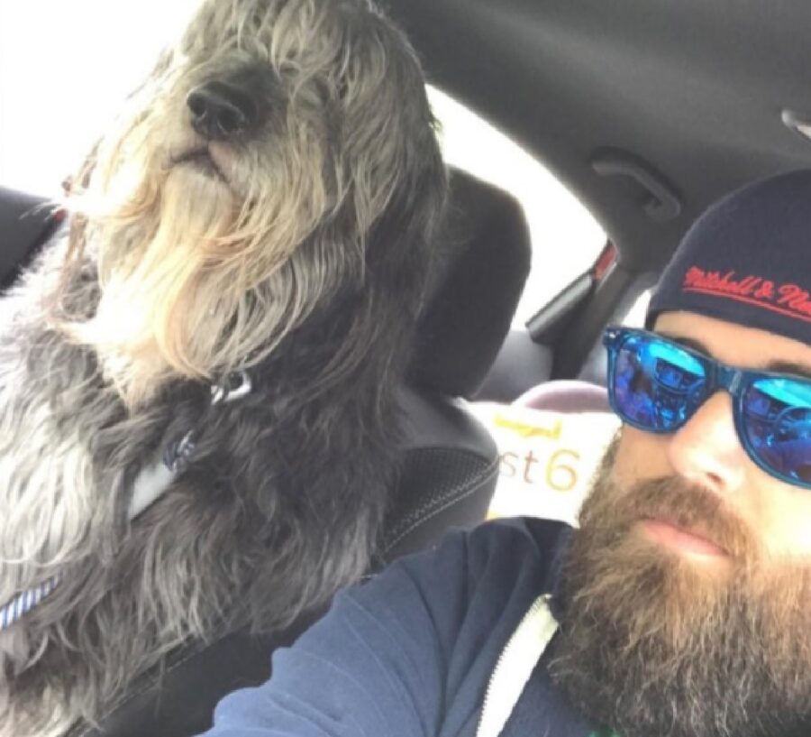 uomo e cane con barba