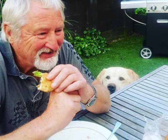 cane occhi pane