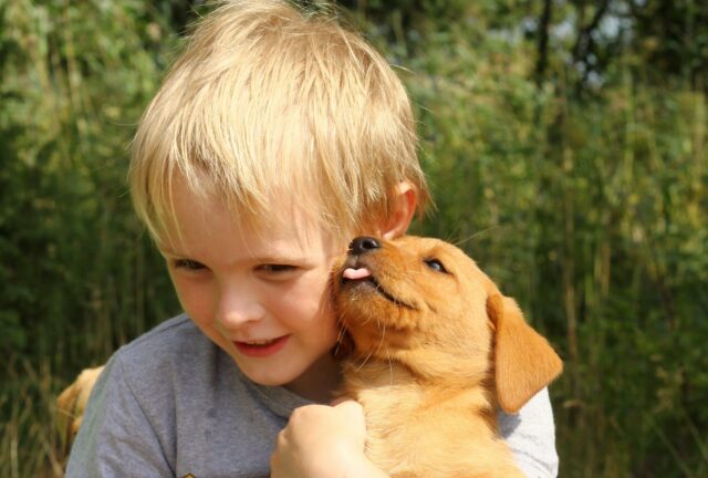 5 consigli per abituare il cane a stare con i bambini