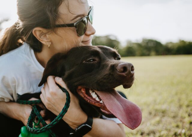 5 lezioni di vita che possiamo imparare solo dai cani