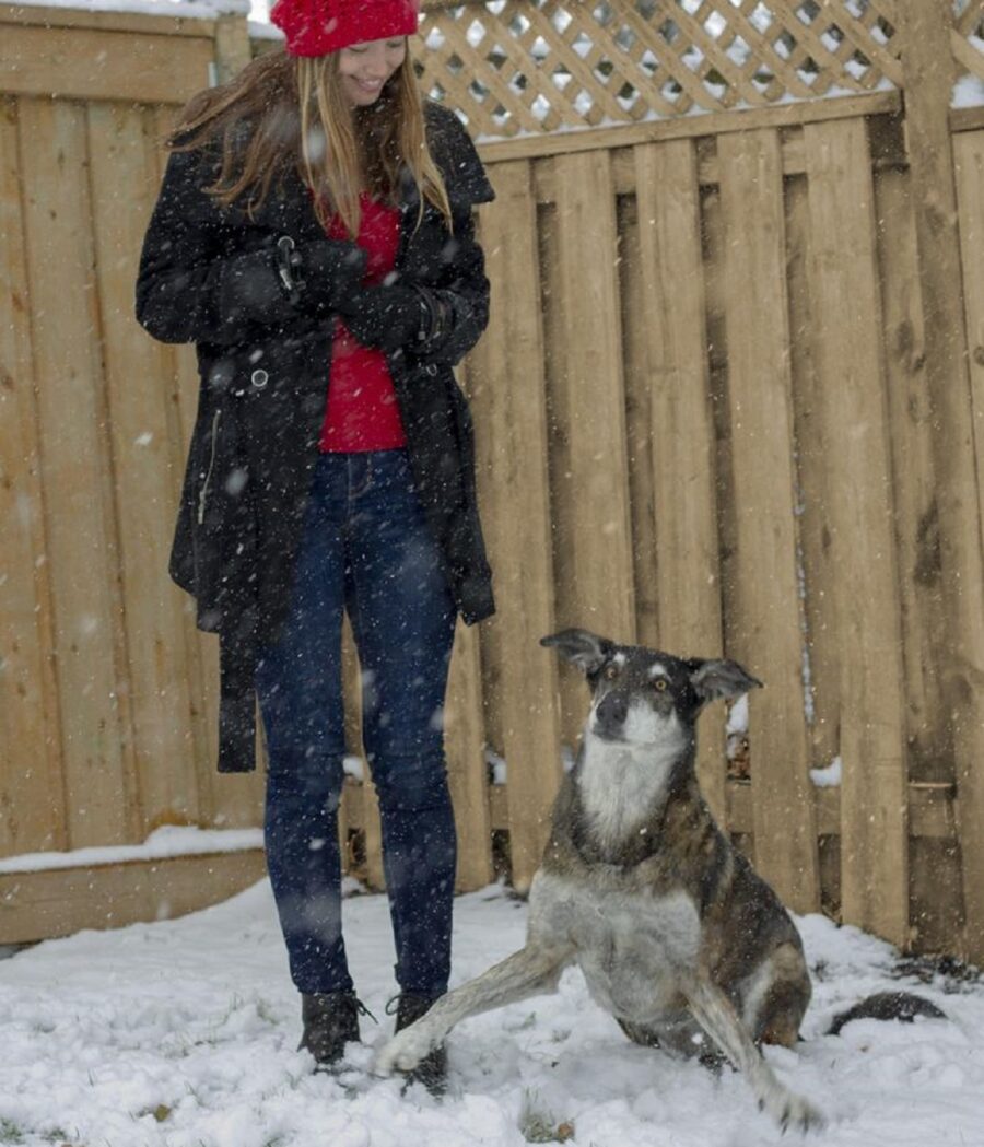 neve papà cane