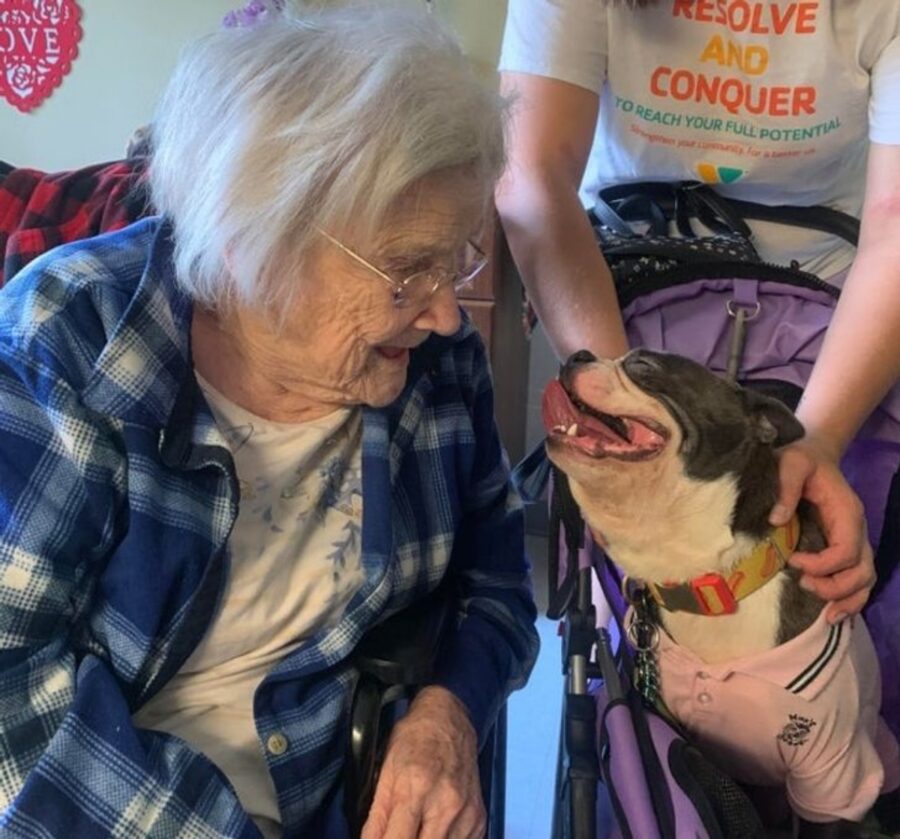 cucciolo sorriso nonna