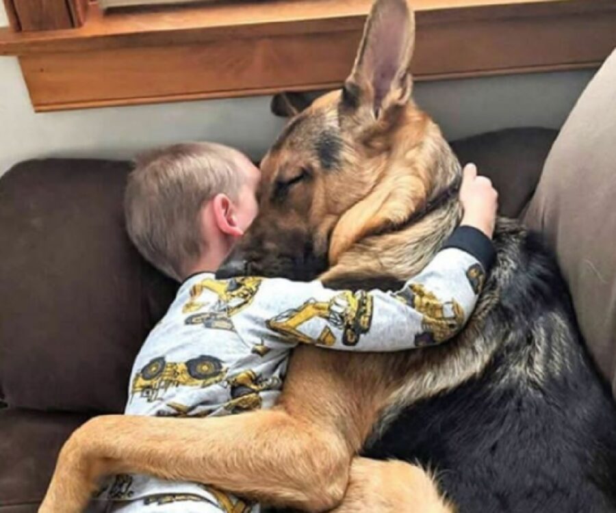 cane abbraccio con ragazzo pigiama
