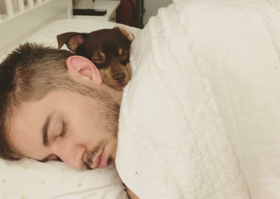 cane dorme su faccia papà