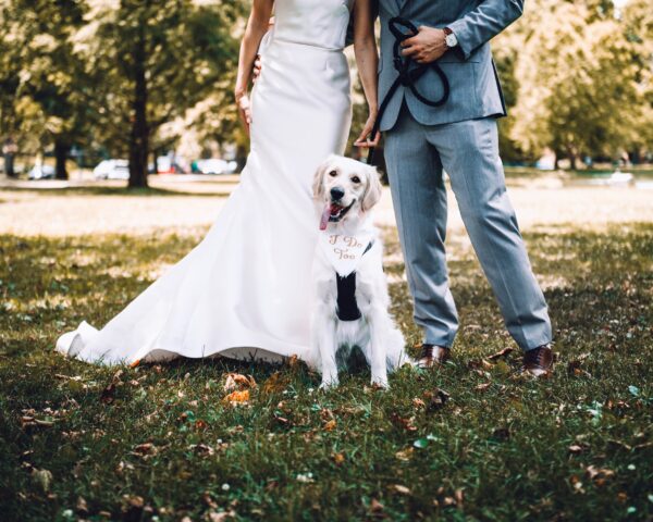 8 foto di cani che hanno reso indimenticabili i matrimoni dei loro genitori