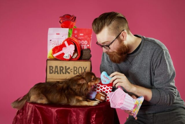 9 cose da fare per festeggiare il san Valentino con il vostro cagnolino