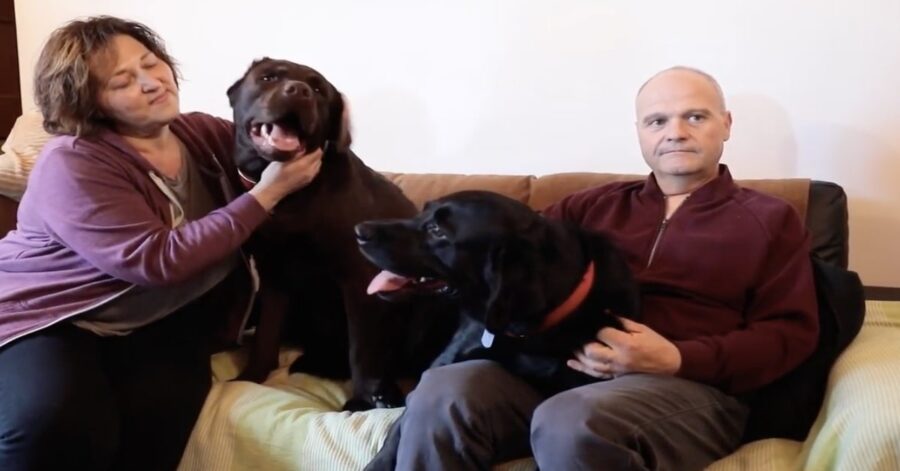 Labrador con il padrone che hanno salvato