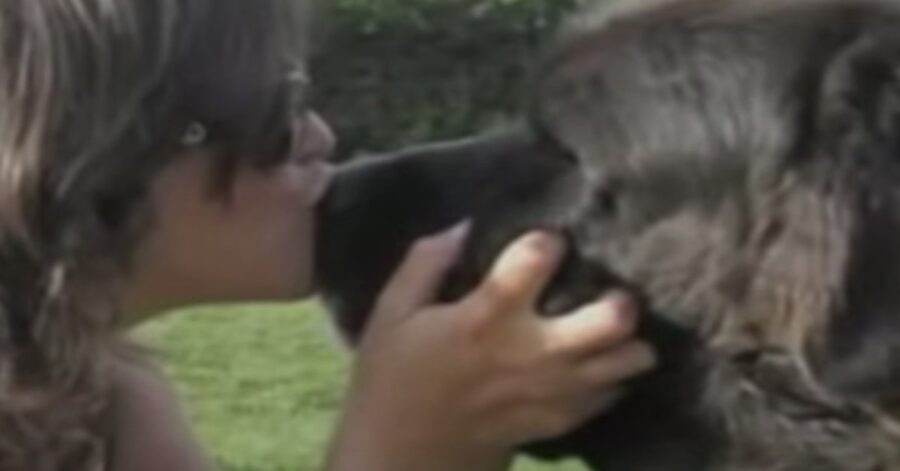 una ragazza bacia un cane