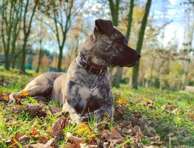 Pablo è alla ricerca di un punto di riferimento. Troviamogli una casa