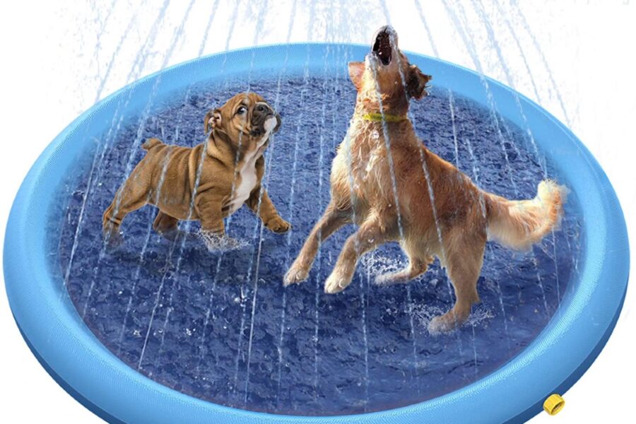 piscina per il cane