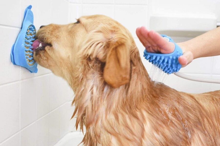dispenser per cani sotto la doccia