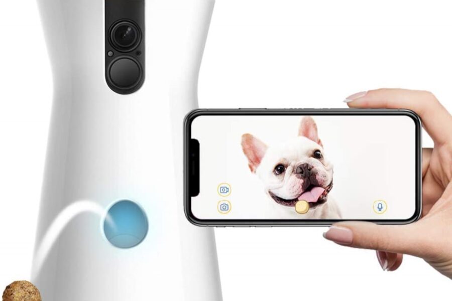 videocamera per il cane