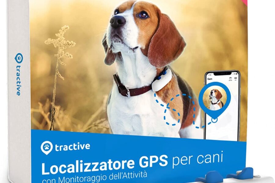 collare gps per cane