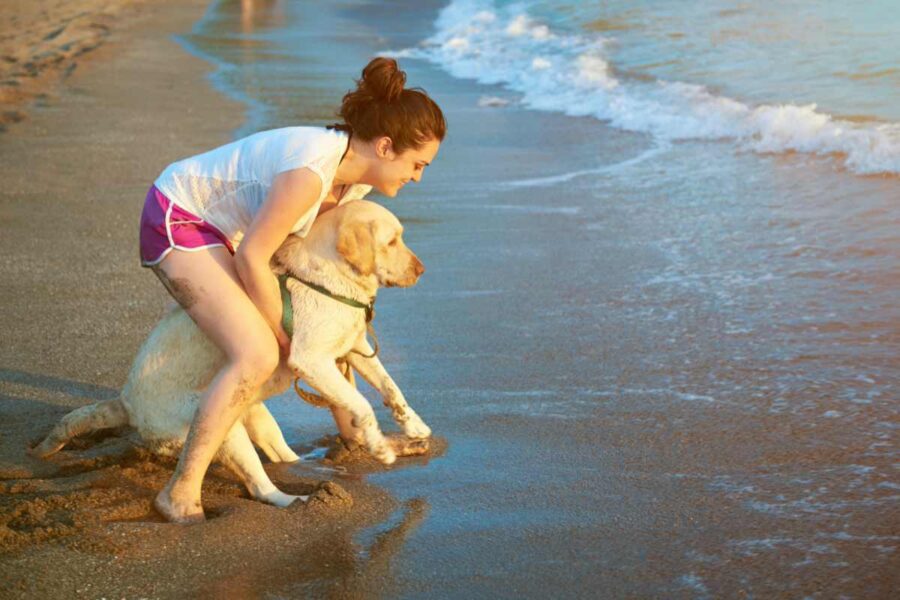 cane fa il bagno al mare