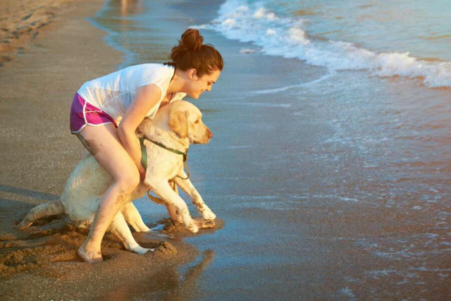 cane ha paura del mare