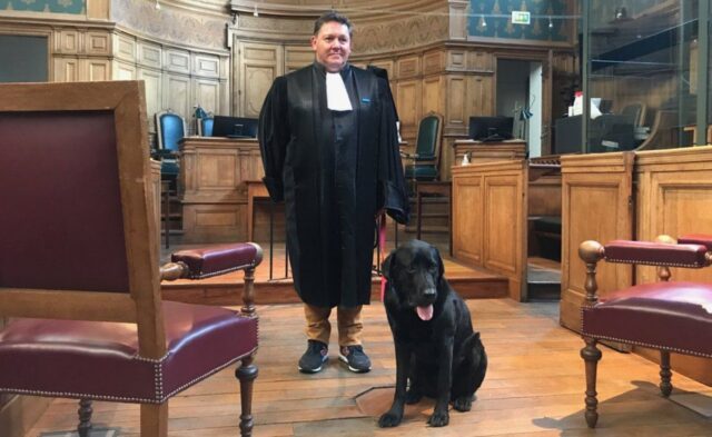 Il cane Lol aiuta vittime di abusi nei tribunali francesi: vero gesto di amore
