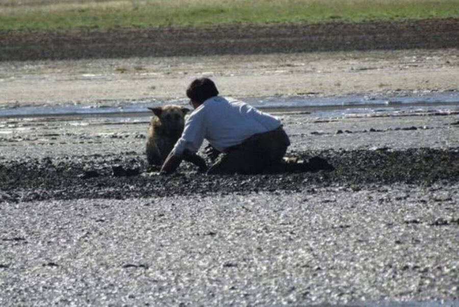 Uomo salva cane intrappolato