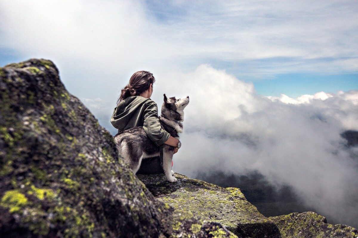 cane in montagna