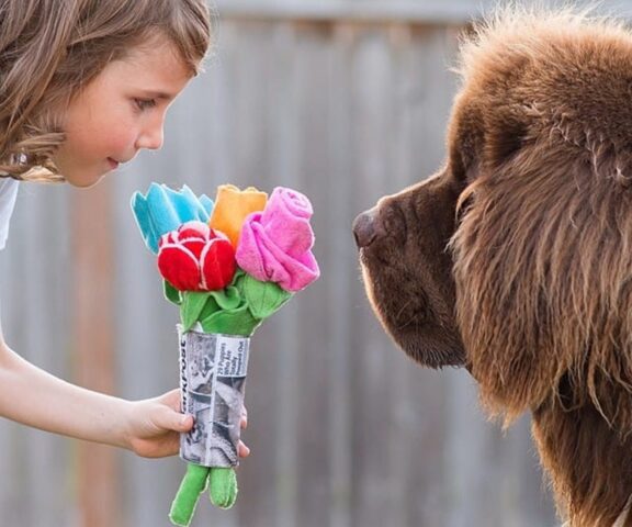 Cani babysitter: i 10 che ti daranno una mano immensa con i bambini