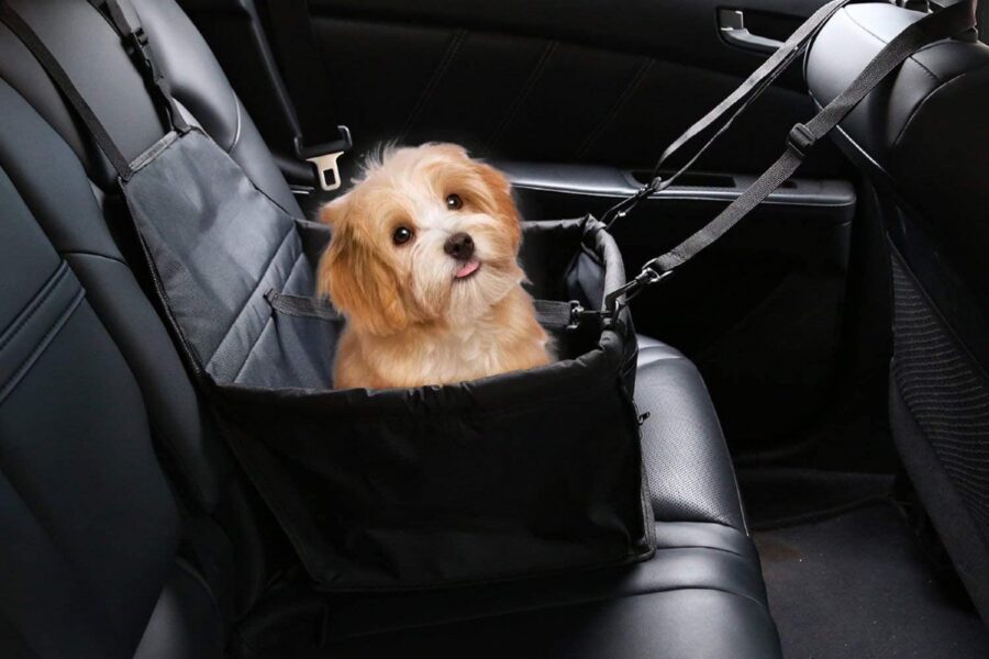 seggiolino auto per cani
