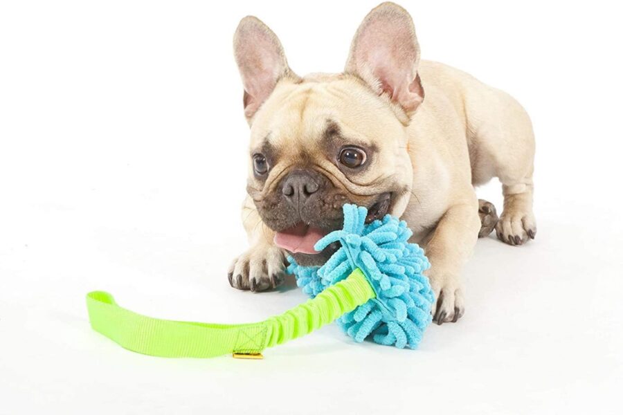 cane alle prese con un gioco