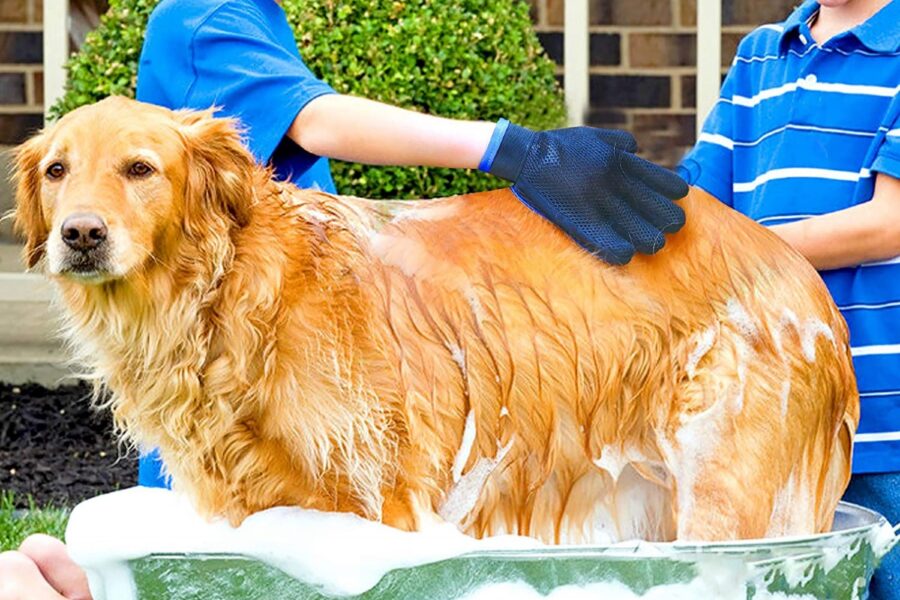 guanto per la pulizia del cane