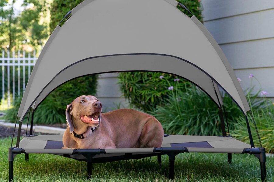 tenda con lettino per cani