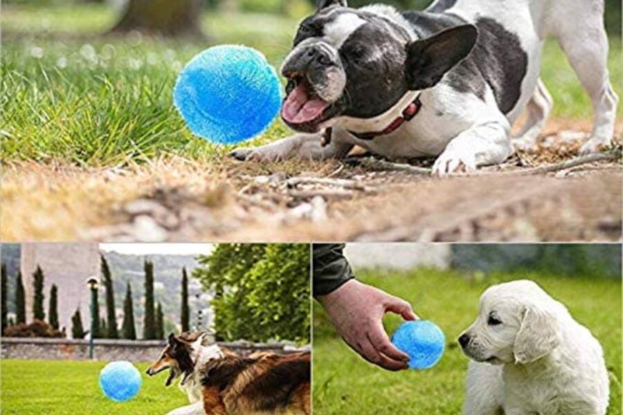 cani giocano con pallina di peluche