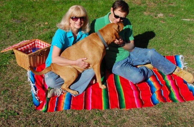 Picnic canino: 10 cose da fare per renderlo perfetto