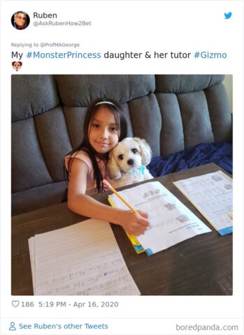 10 cani a scuola: Bisogna finire i compiti prima che arrivi il professore