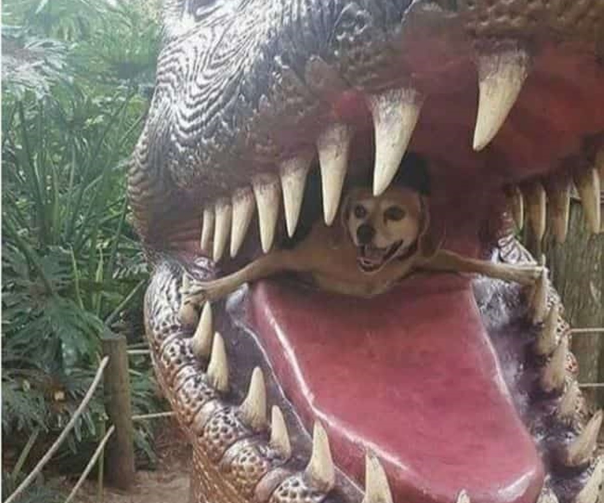 cane bocca dinosauro
