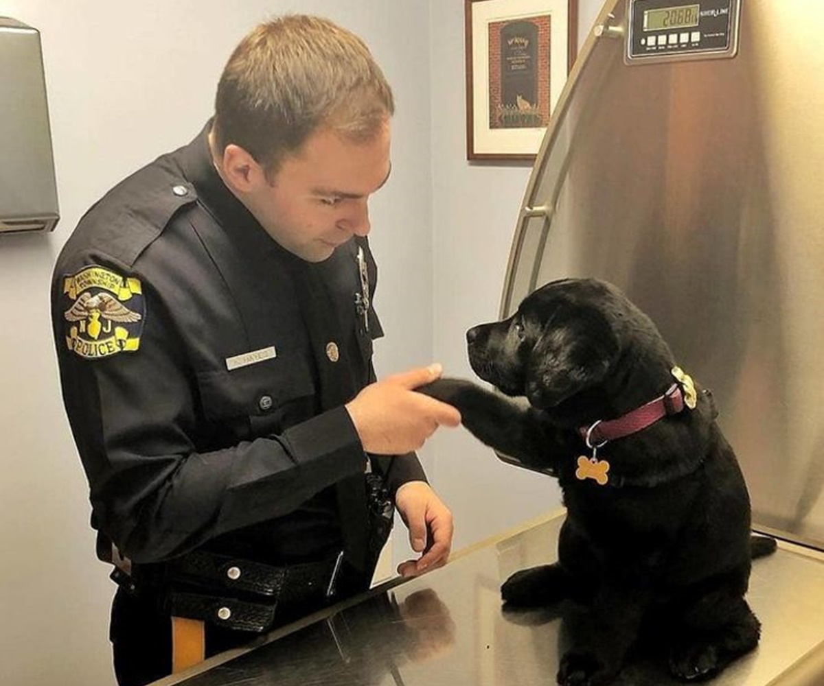 cane poliziotto