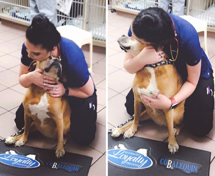 cane abbraccio con assistente