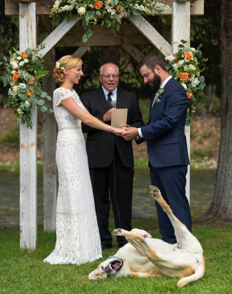 matrimonio sposi cane