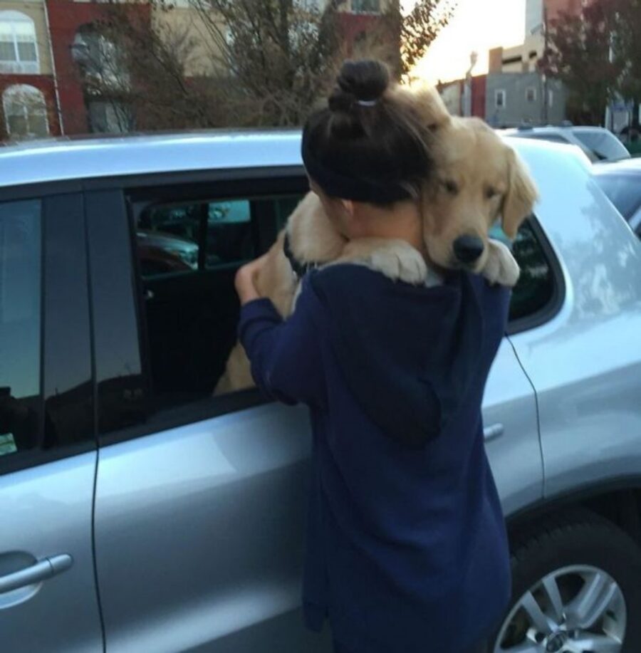 cucciolo auto abbraccio