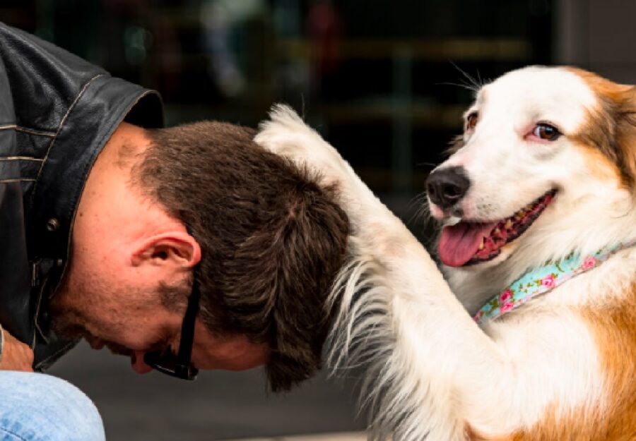 cane accarezza testa uomo