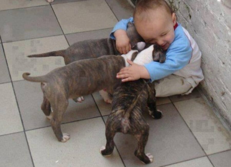 abbraccio bimbo cuccioli