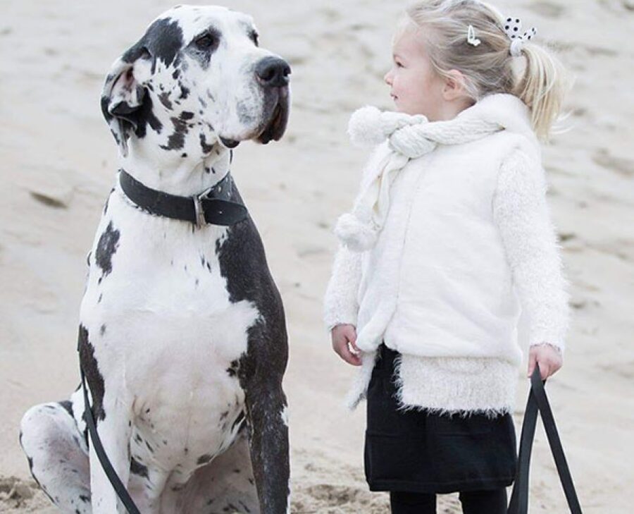 cucciolo bambina sulla spiaggia