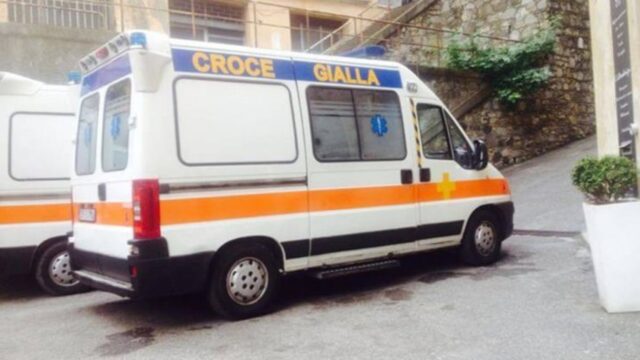 Cane cade dalla finestra e rimane incastrato nel cancello: dramma a Genova